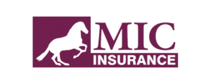 Millenium Insurance